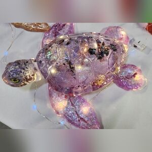 Lighted turtle